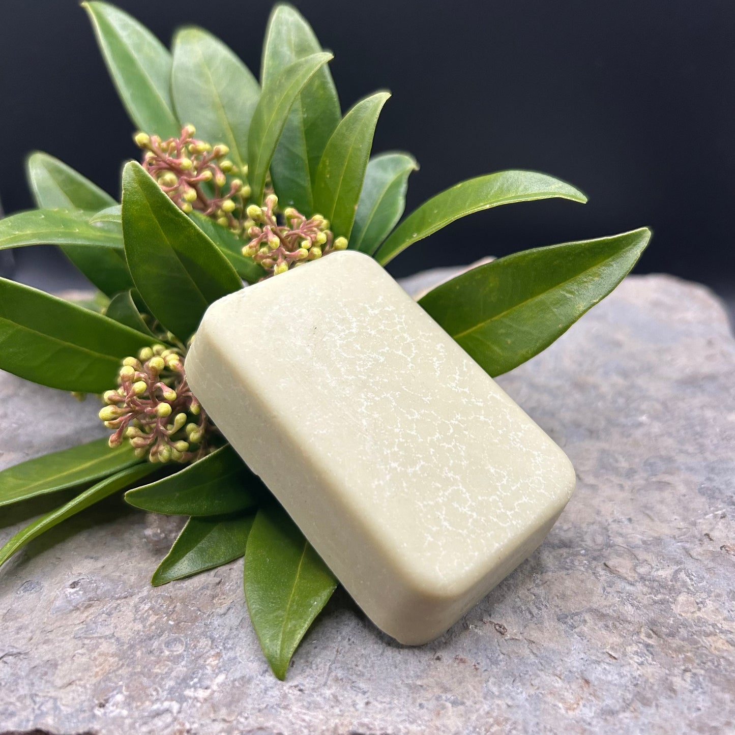 Detoxifying Deodorant Bar